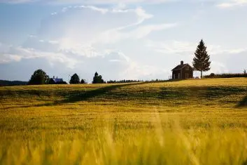 recruiting farm workers from overseas