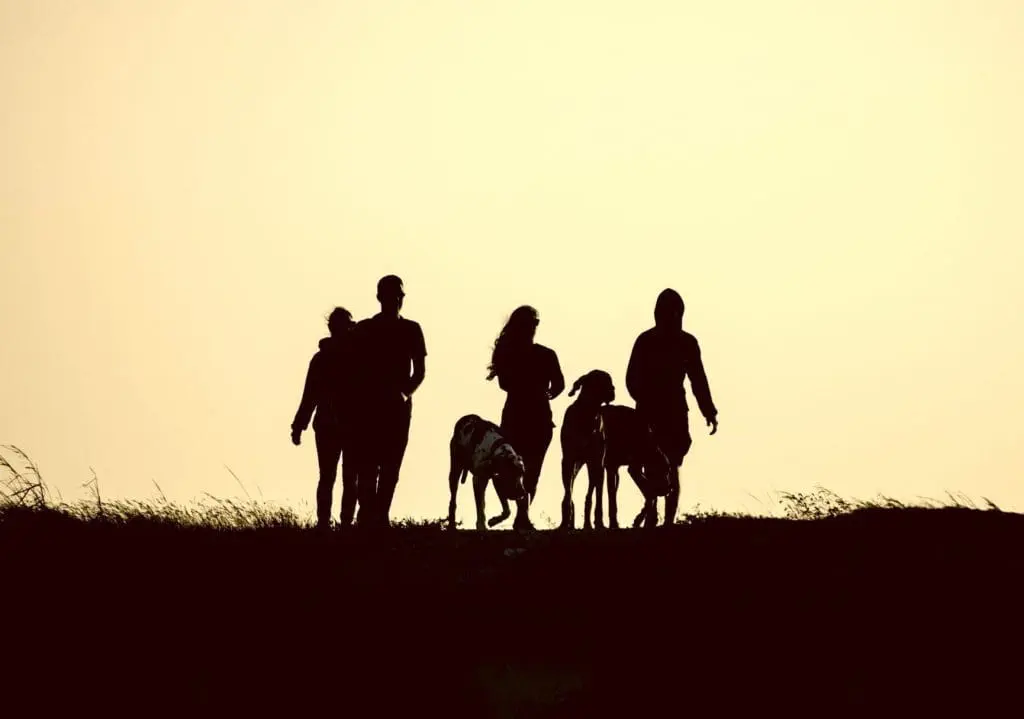 silhouette of people walking against a yellow sky