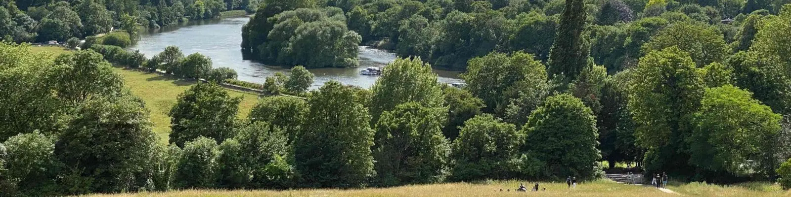 people in a park in daytime