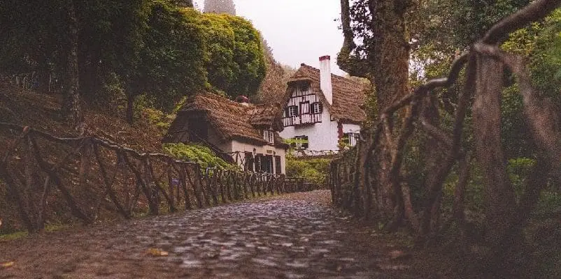 White house near trees, in Portugal