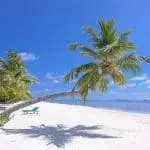 Tropical destination