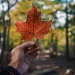 Emigrating to Canada