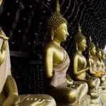Golden statues of the Buddha