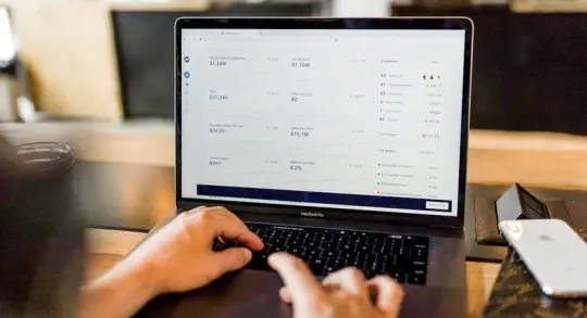 a person checking a bank statement online