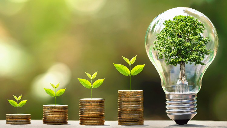 Lightbulb concept of business growth