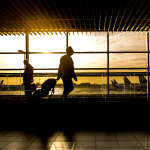 Adult walking through airport