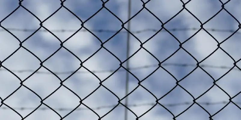 Gridlocked iron fence