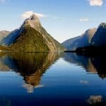 New Zealand Father
