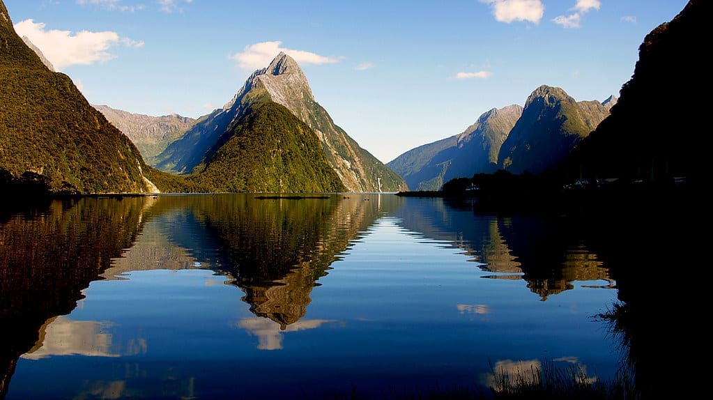 New Zealand Father