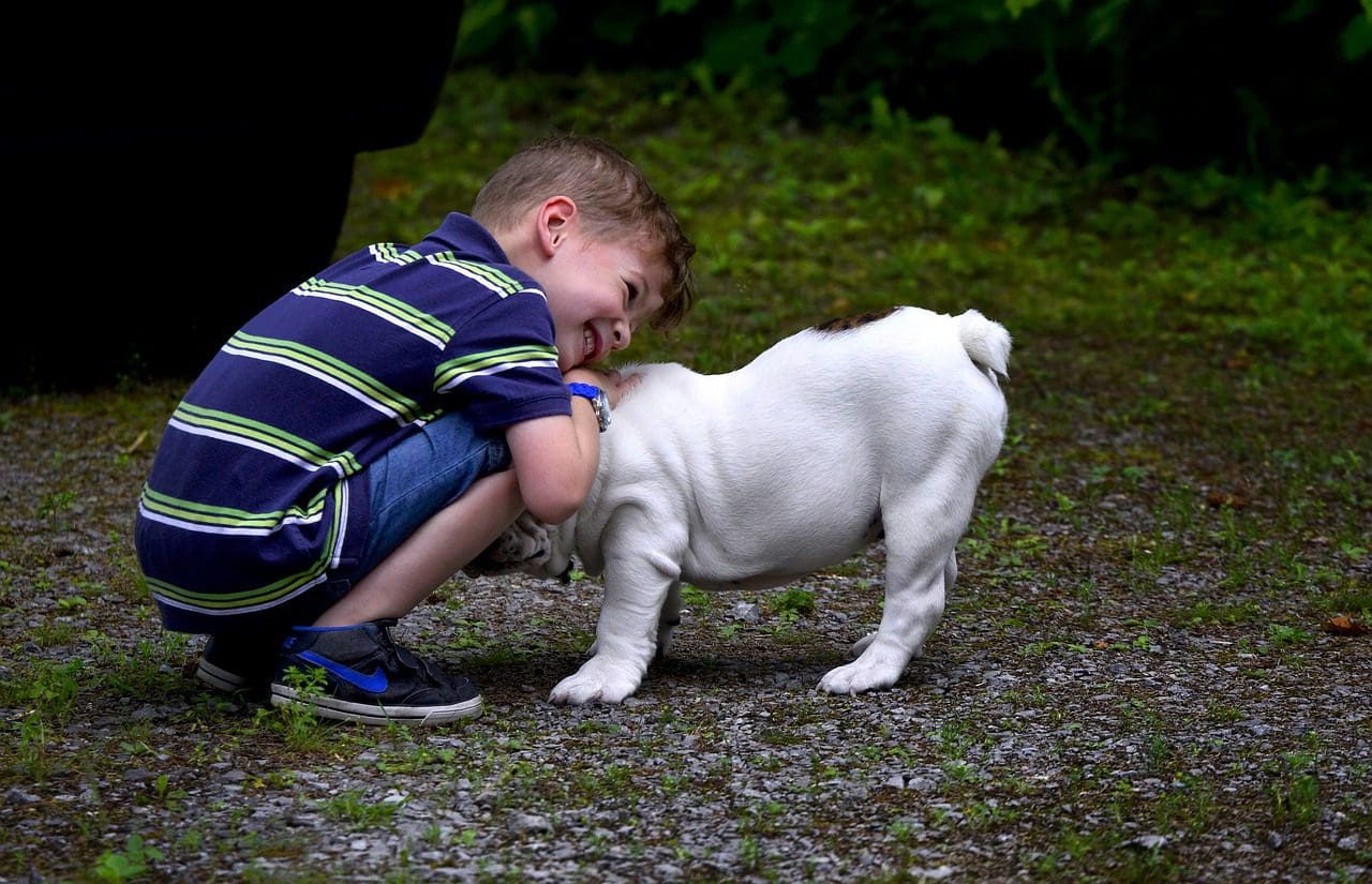 a boy hugging a bulldog