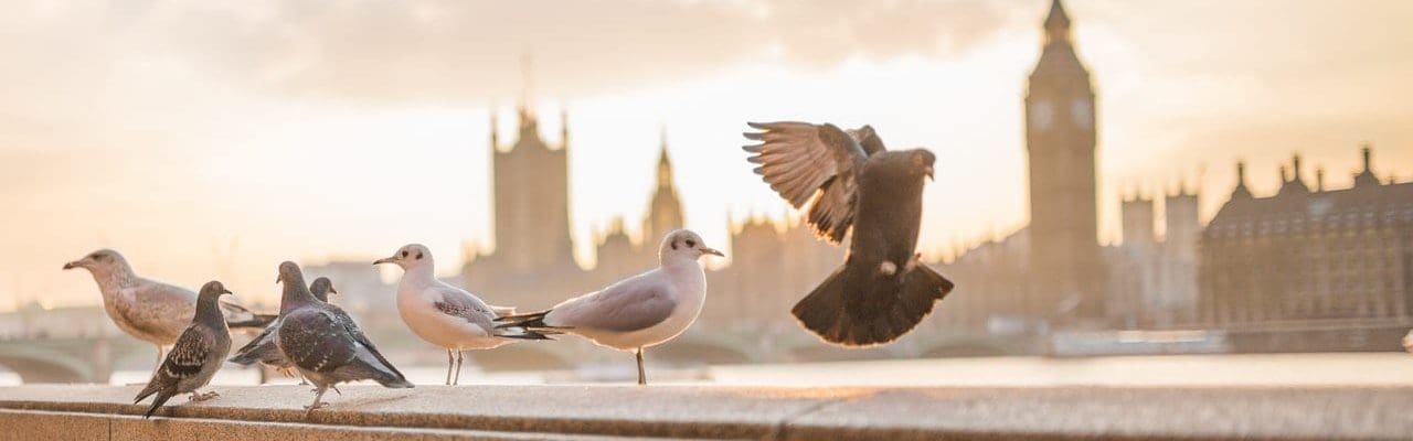Coulsdon Immigration Lawyers