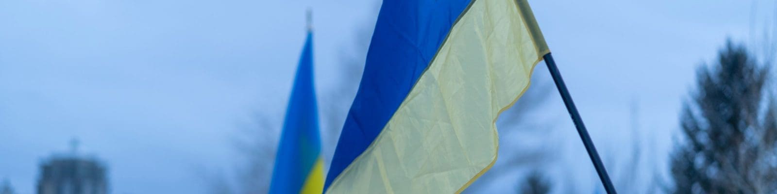 Ukraine flag