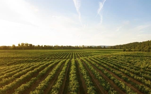 seasonal worker visas