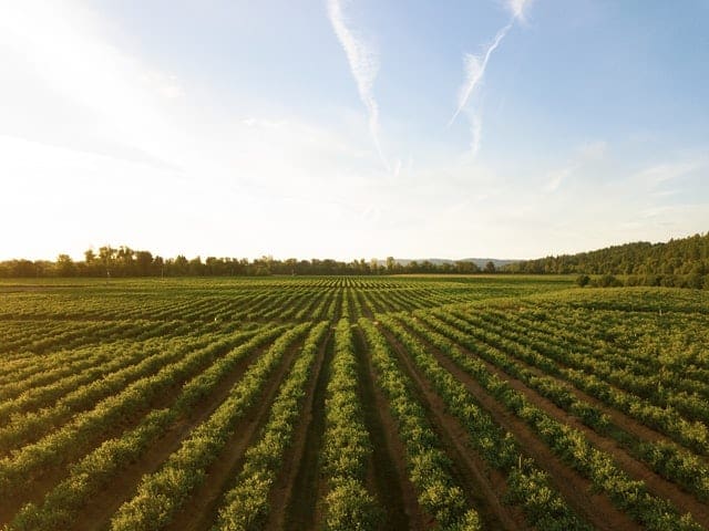 seasonal worker visas