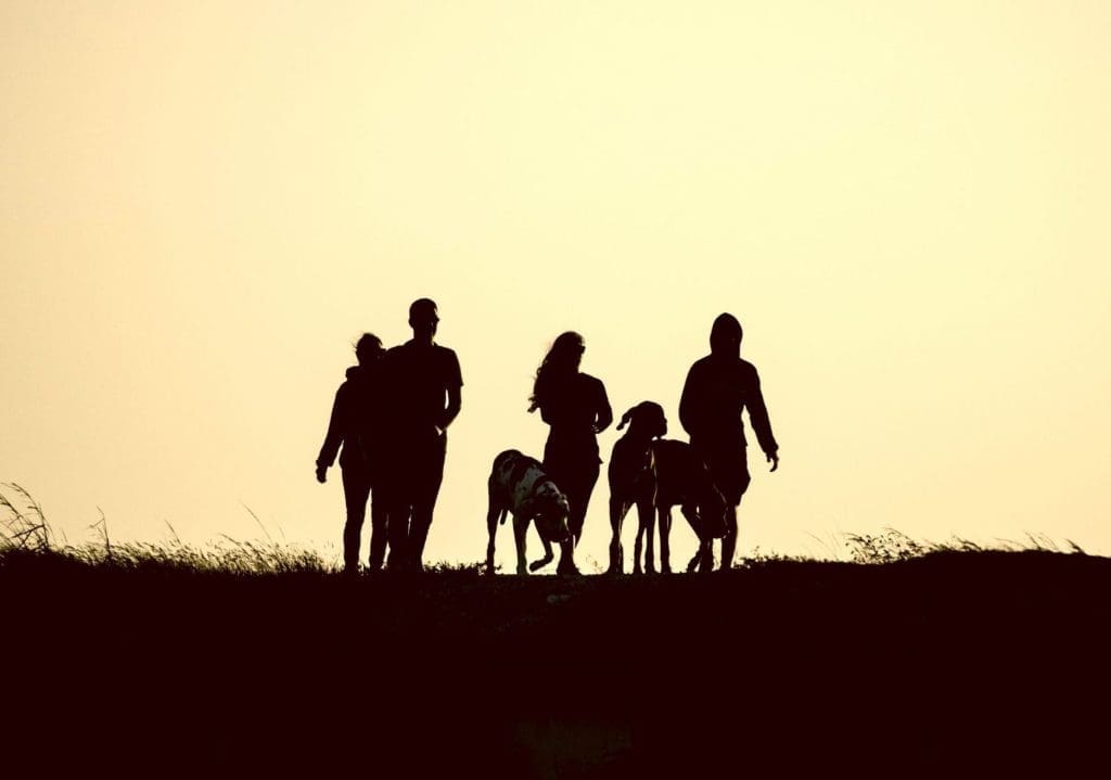 silhouette of people walking against a yellow sky