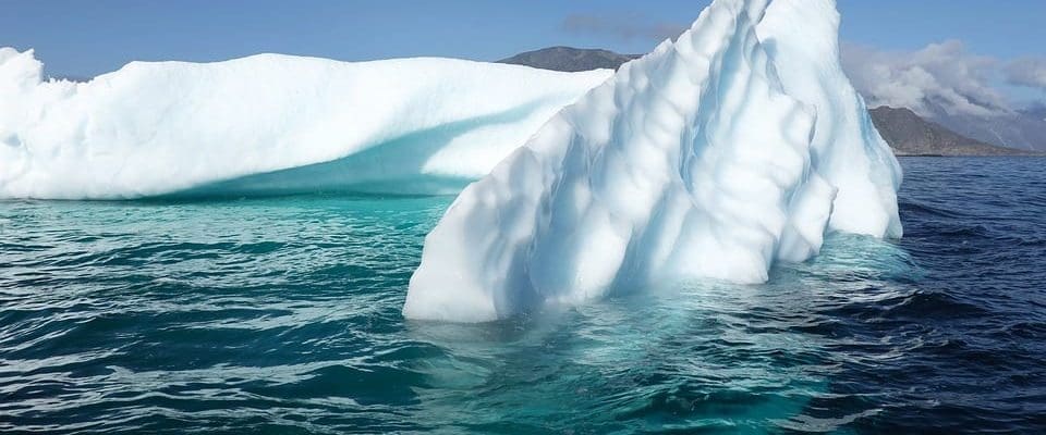 climate refugees