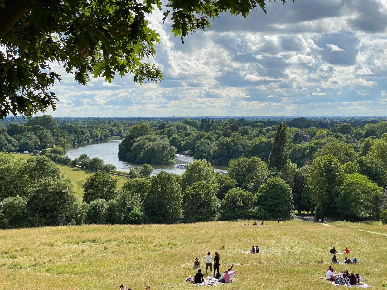 people in a park in daytime