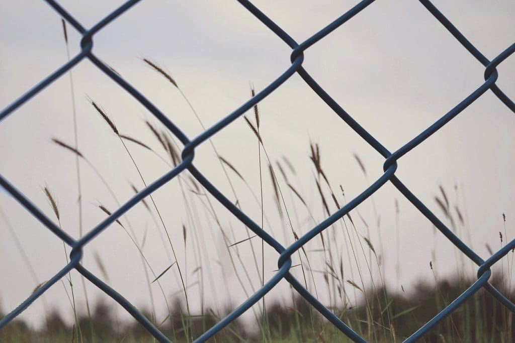 close up of fence with meadow in background
