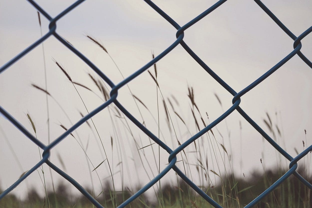 close up of fence with meadow in background