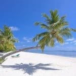 Tropical destination