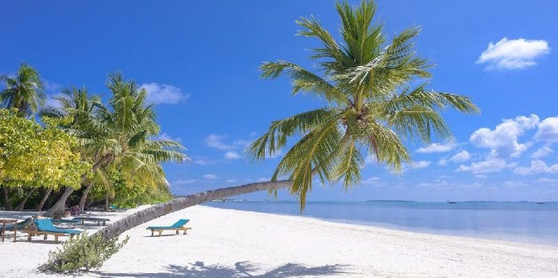 Tropical destination