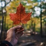 Emigrating to Canada