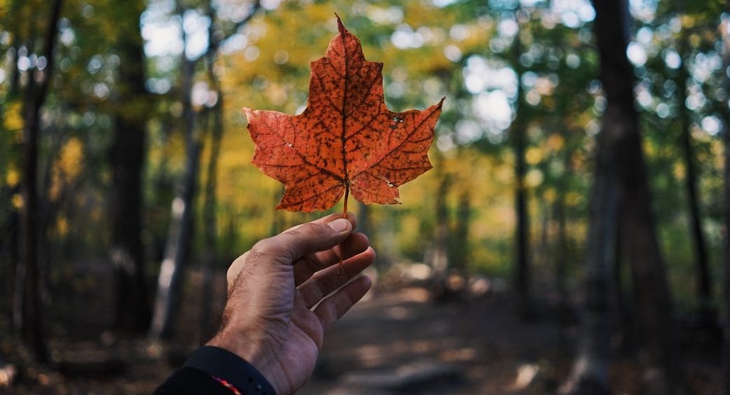 Emigrating to Canada