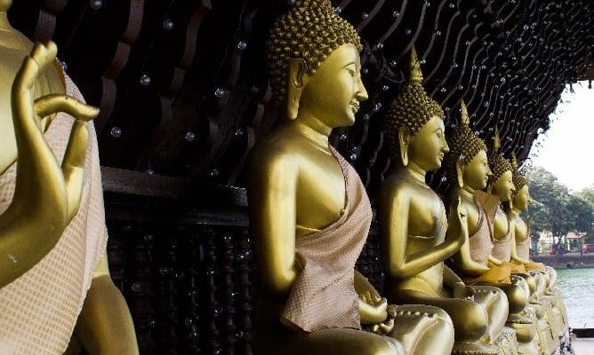 Golden statues of the Buddha