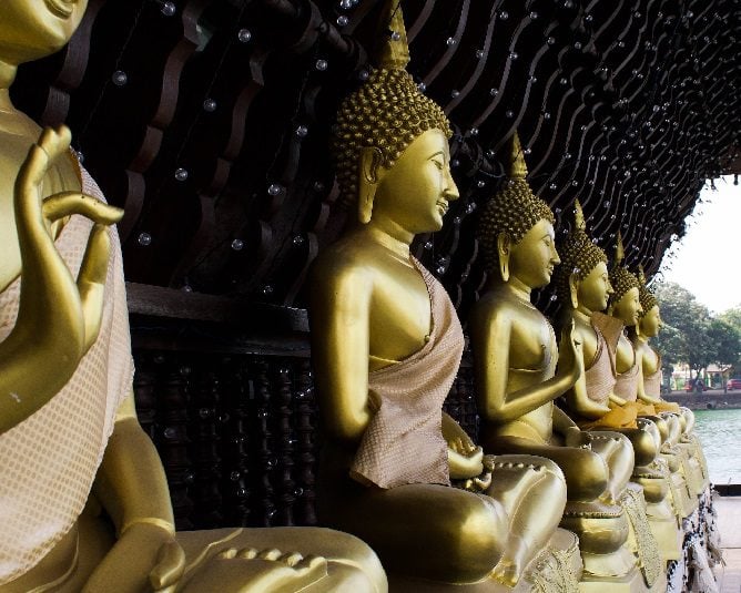 Golden statues of the Buddha