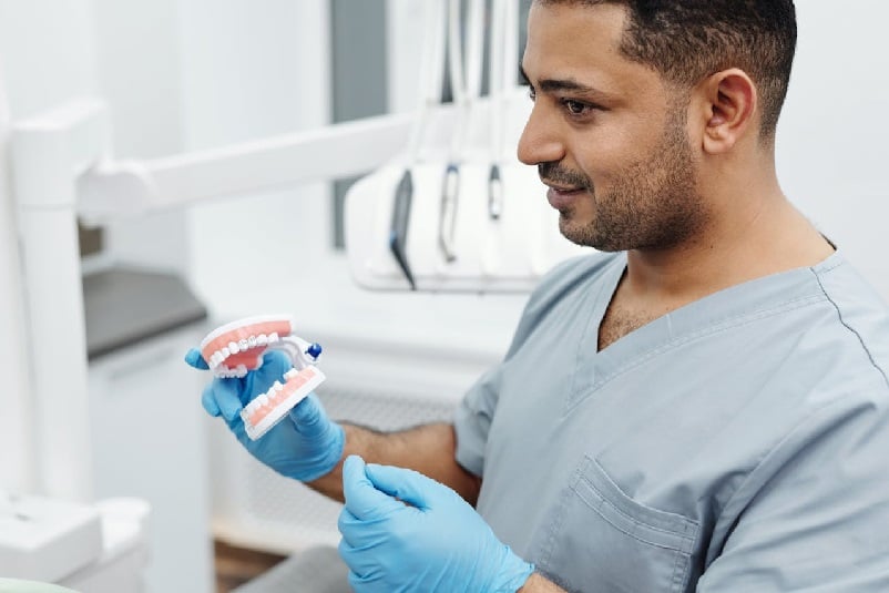 Dentist holding model teeth set