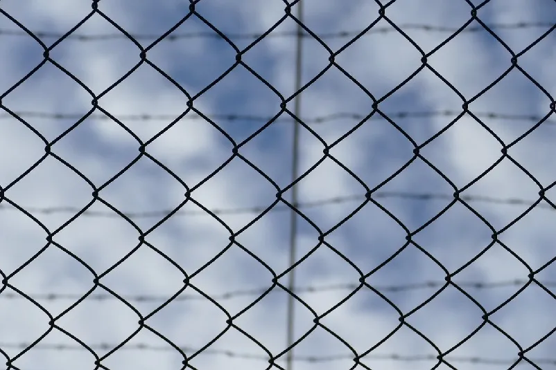 Gridlocked iron fence