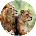 Suad Nurhusien profile picture