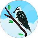 Raisa roni18 profile picture