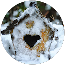 Danielle Leeson profile picture