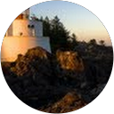 saily profile picture